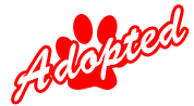 Adopted!