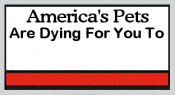 Please Spay & Neuter Your Pets!